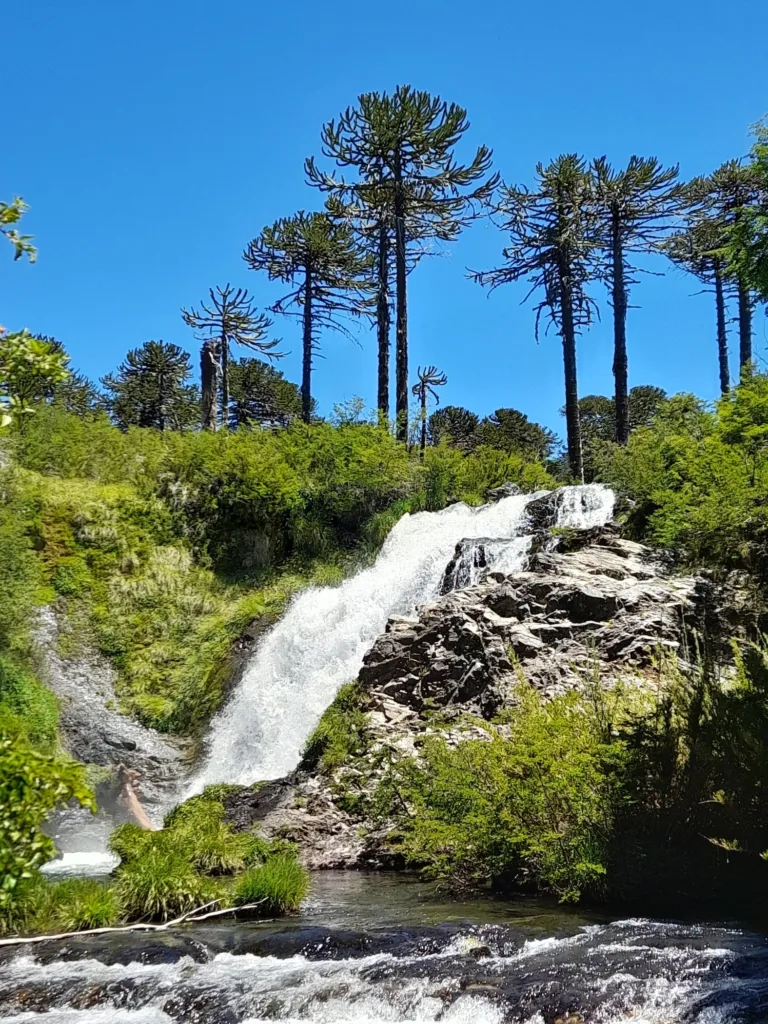 38.04salto-tiriento.jpg