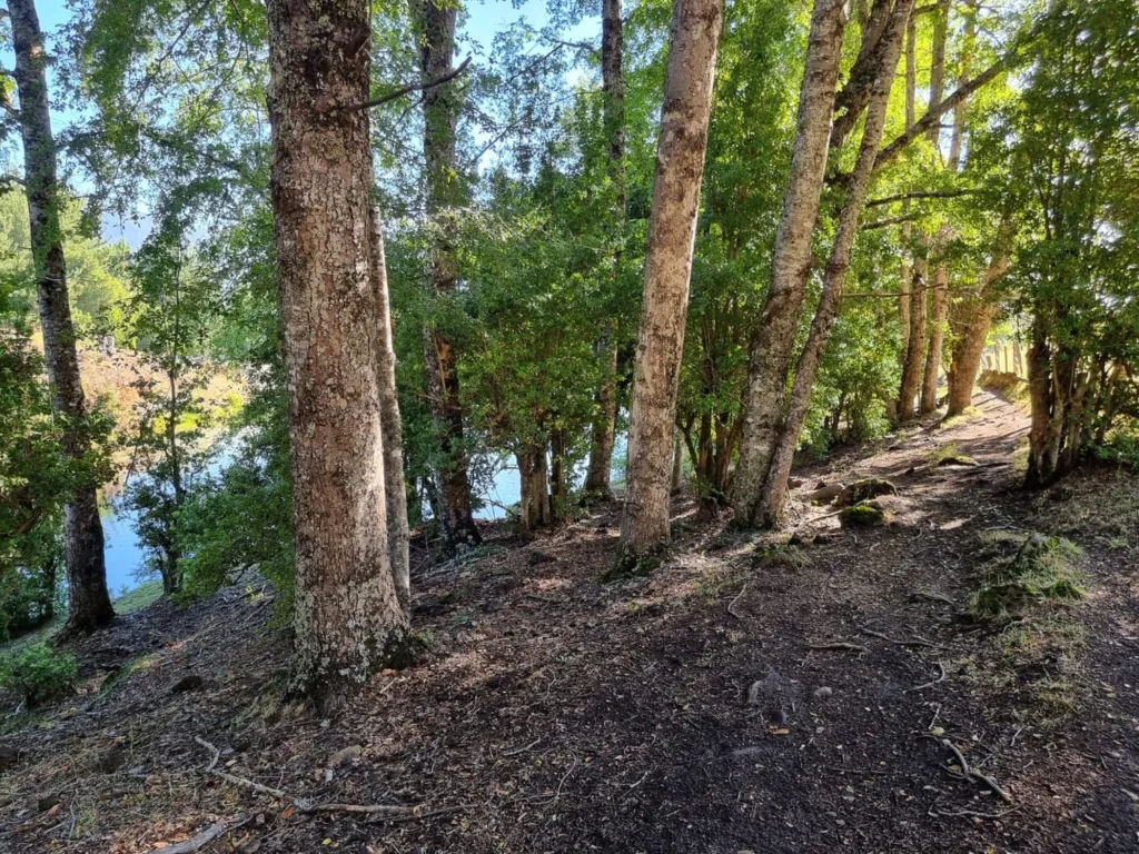 43.04lagunas-llaima.jpg