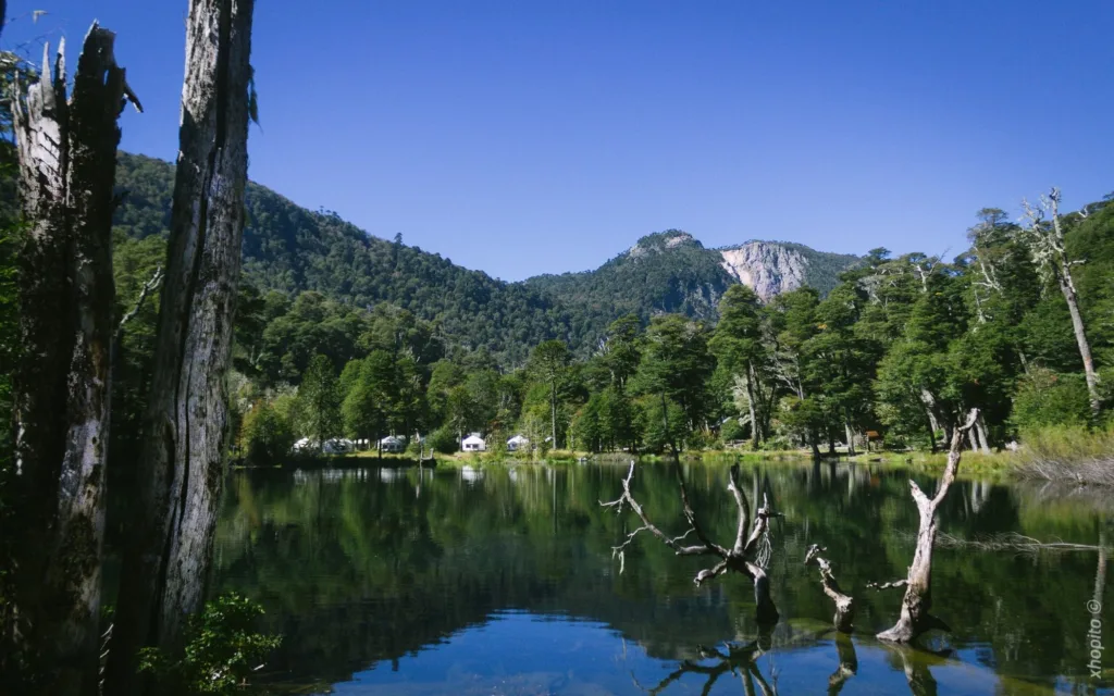 Laguna Carilafquén